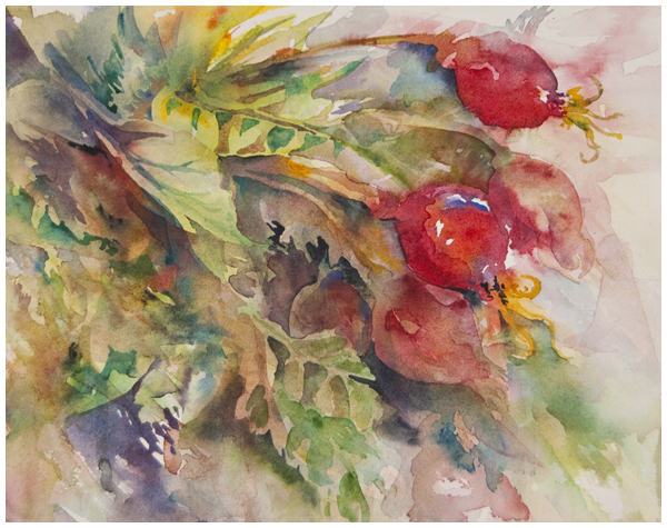 "Withered" watercolour painting (rose hips) | Angela Fehr