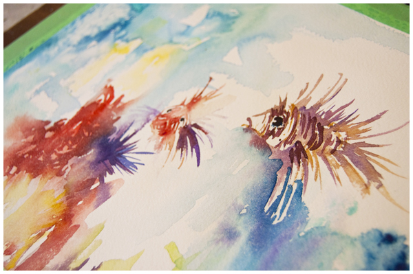 Lionfish study in watercolour  Angela Fehr.com