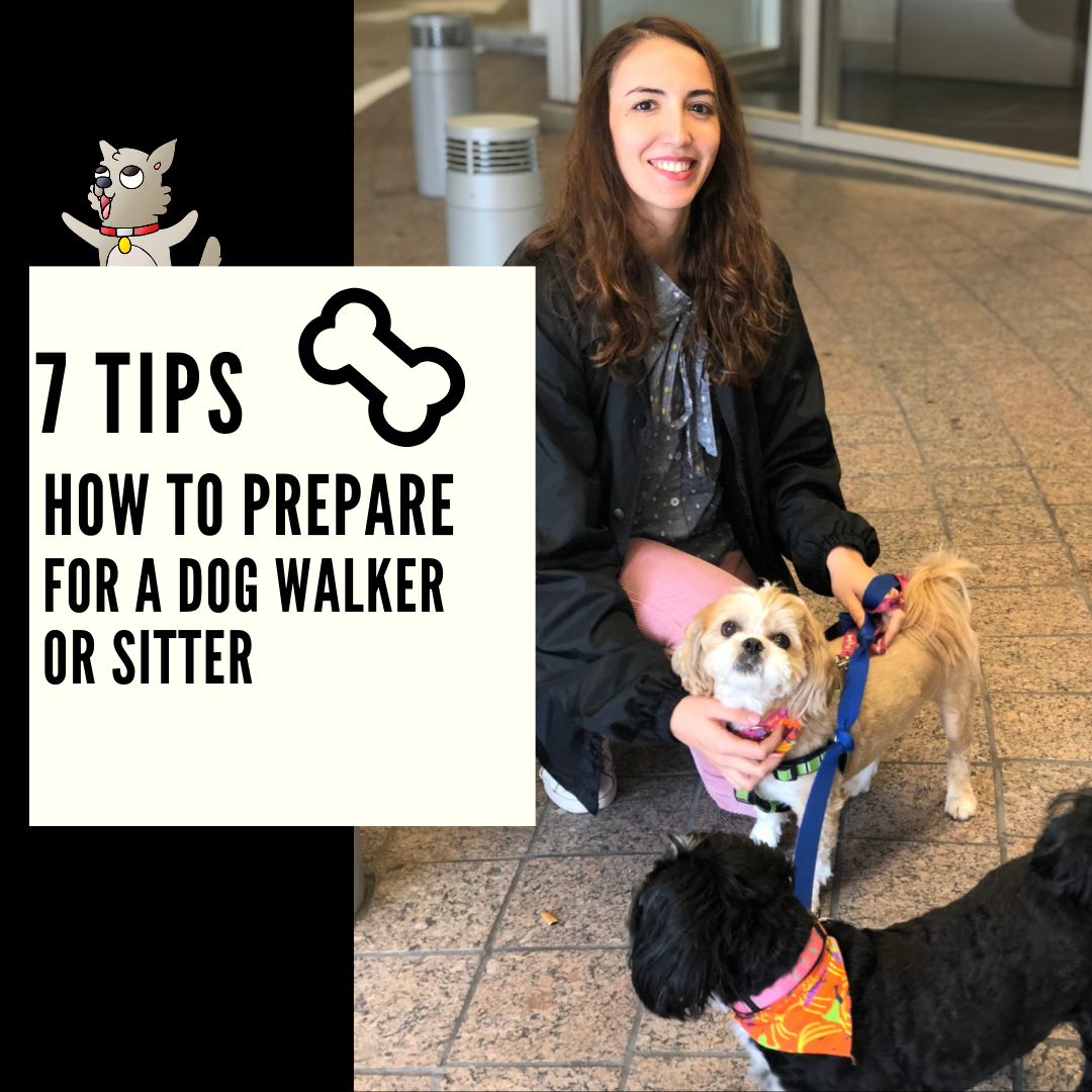 7 Tips – How To Prepare For a New Dog Walker or Pet Sitter — Pack Leaders ATL - Dog Walking, Cat Care and Pet Sitting Services
