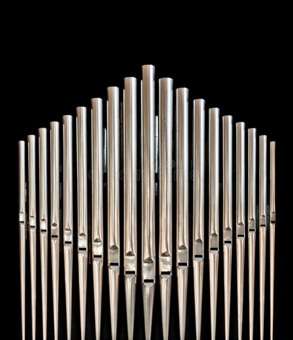 Image result for organ pipe