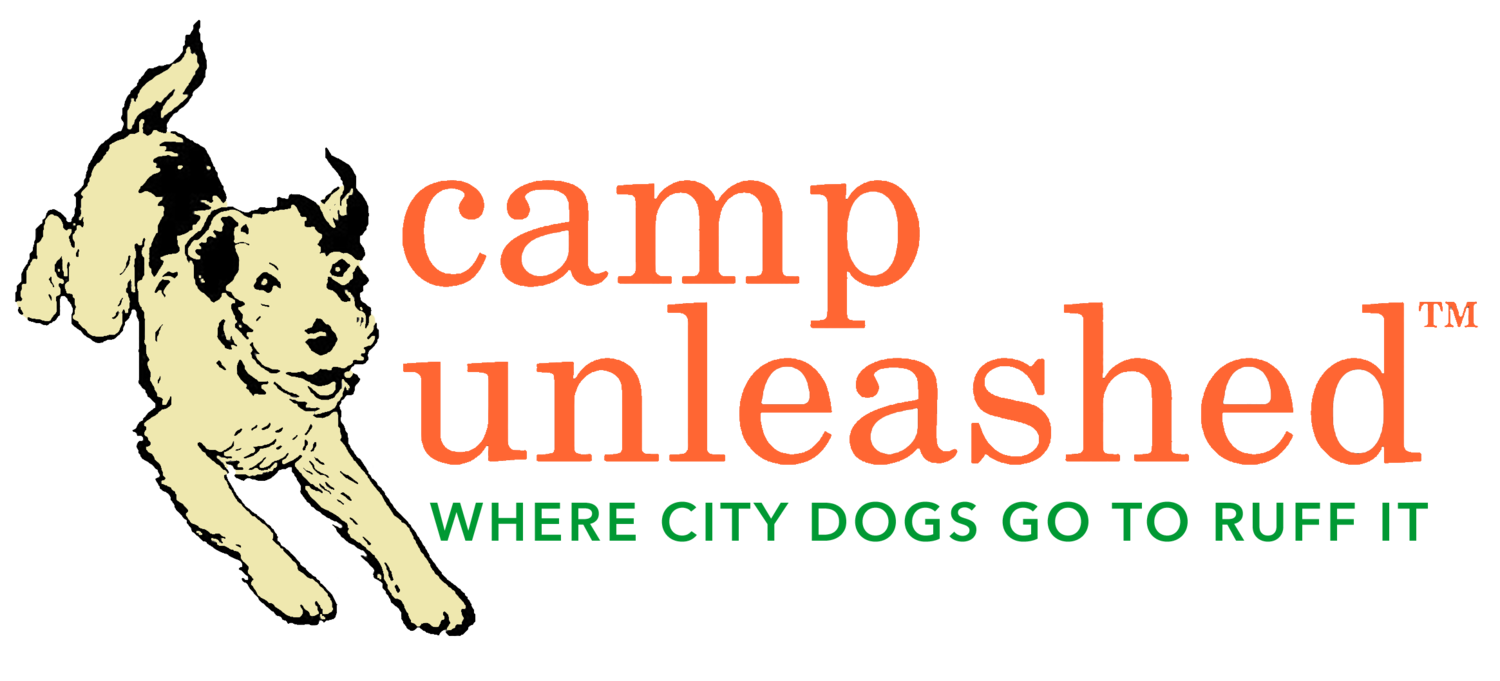 Camp Unleashed