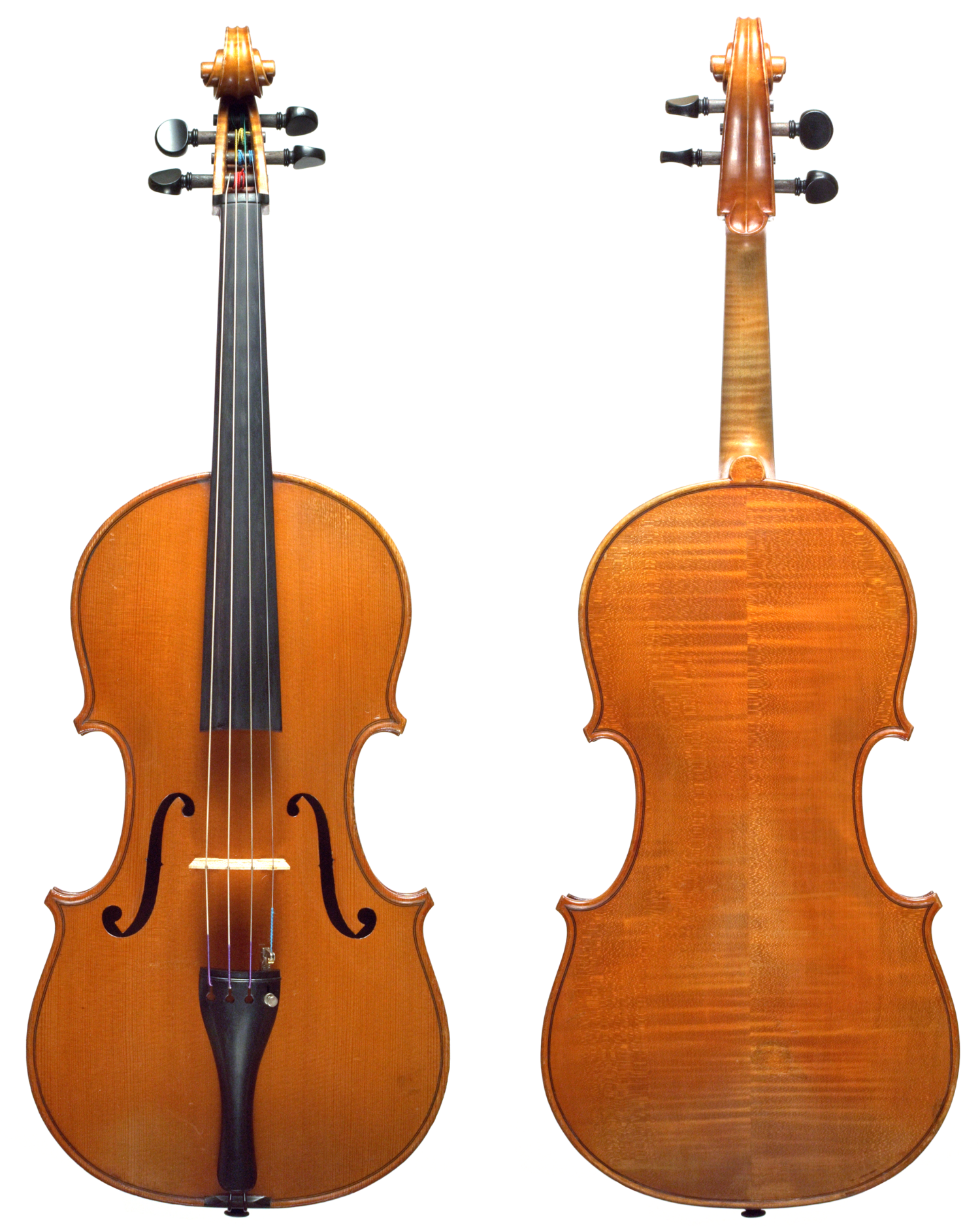 16 Terra - 1931 Violin Rene - Largest The in 3/8\