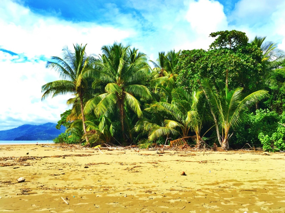 Playa Uvita Costa Rica