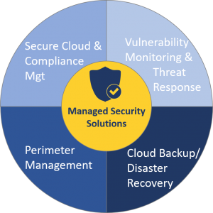 IT Security Framework - Managed Security Solutions
