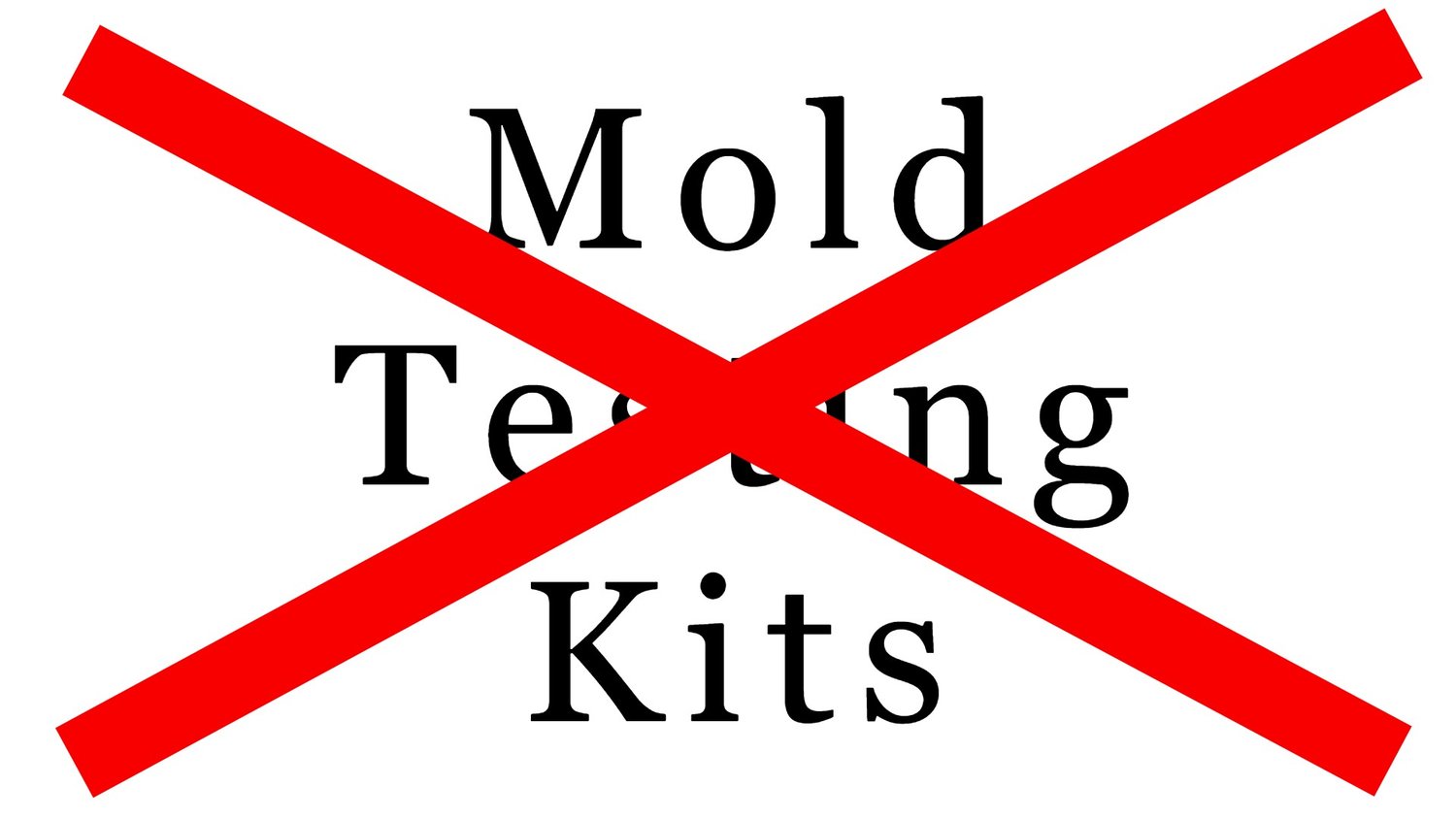  Mold Armor Do It Yourself Mold Test Kit : Health & Household