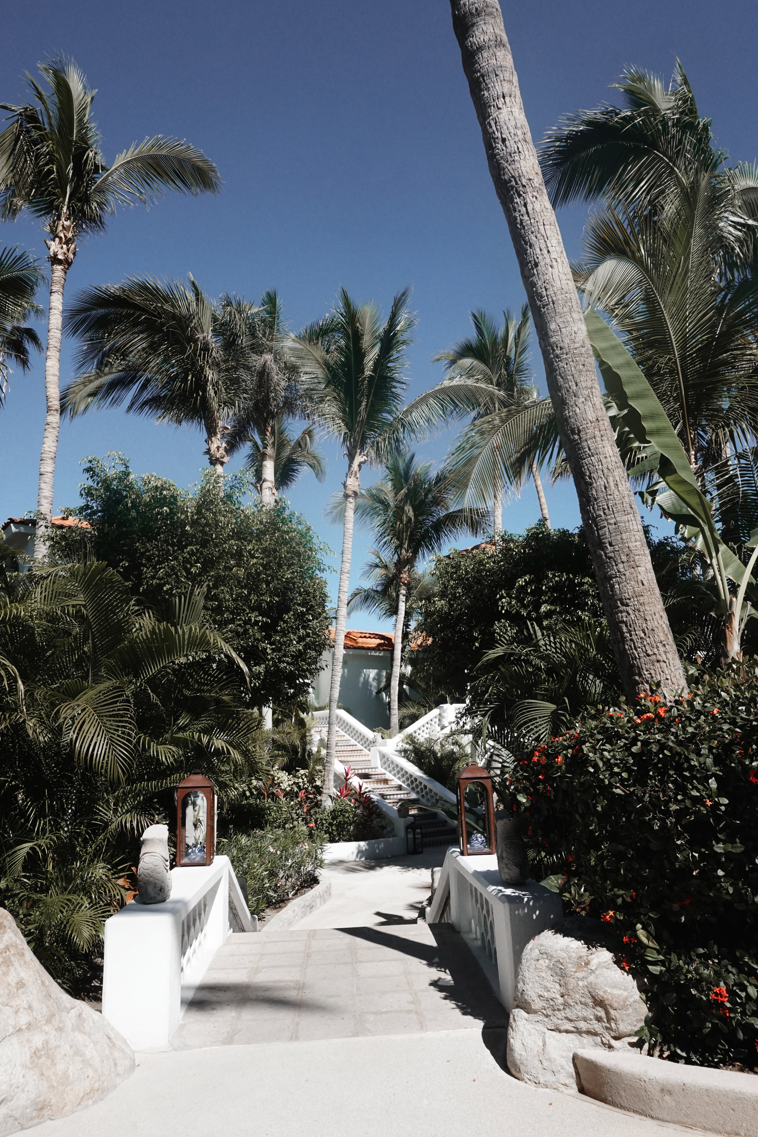 The One and Only Palmilla in Los Cabos by Julia Friedman