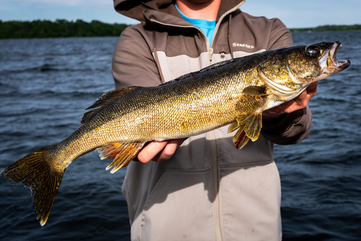 Fishing on Cut Foot Sioux — Bowen Lodge