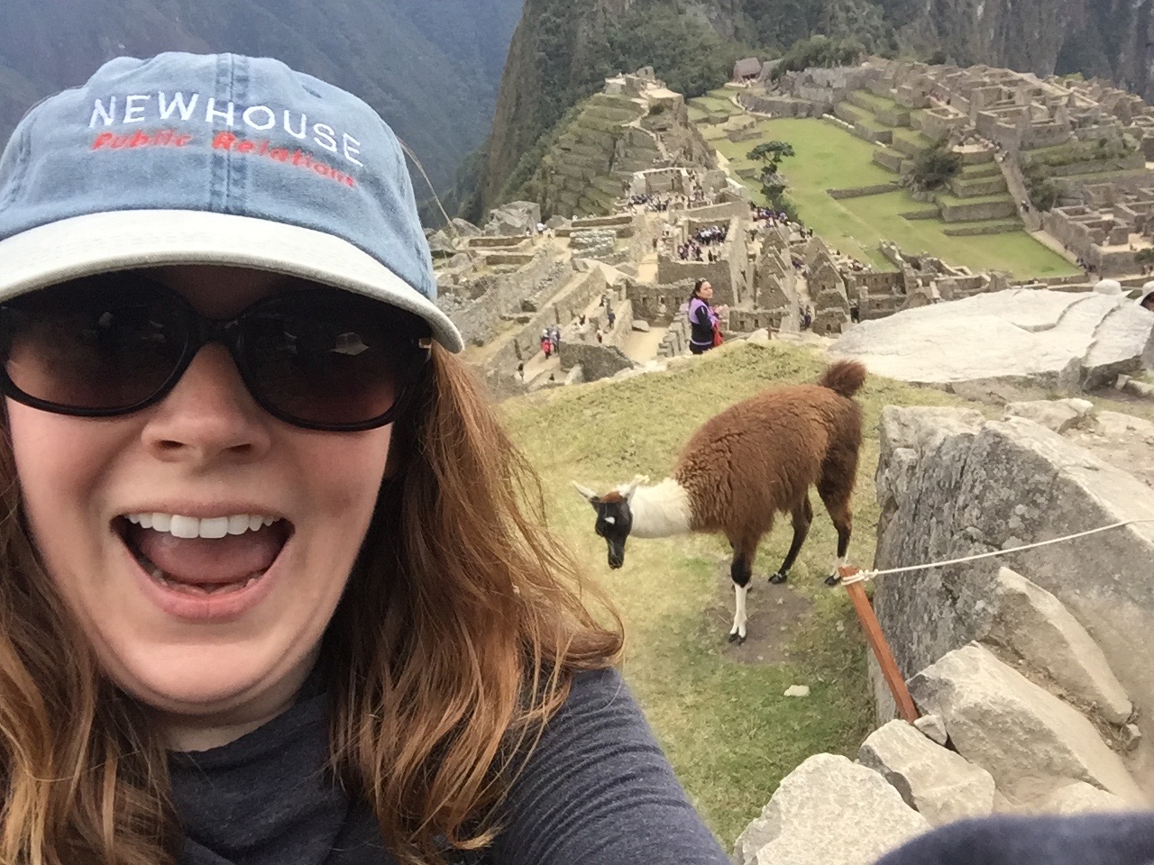 Llama selfie! 
