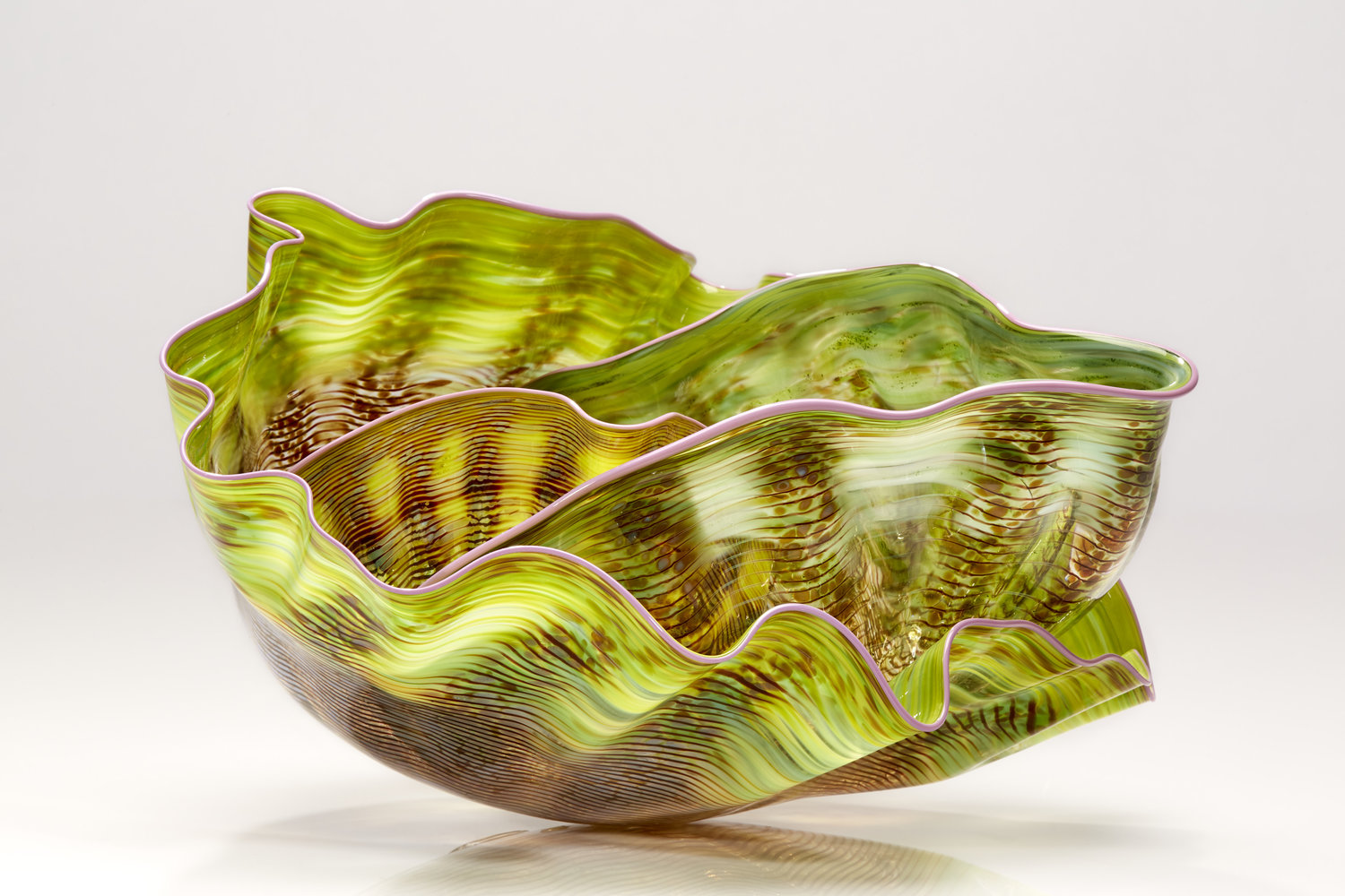 Dale Chihuly Biography — Schantz Galleries Contemporary Glass