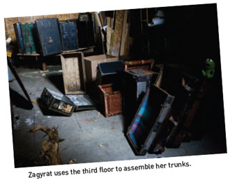 trunks assembled by Zagyvat