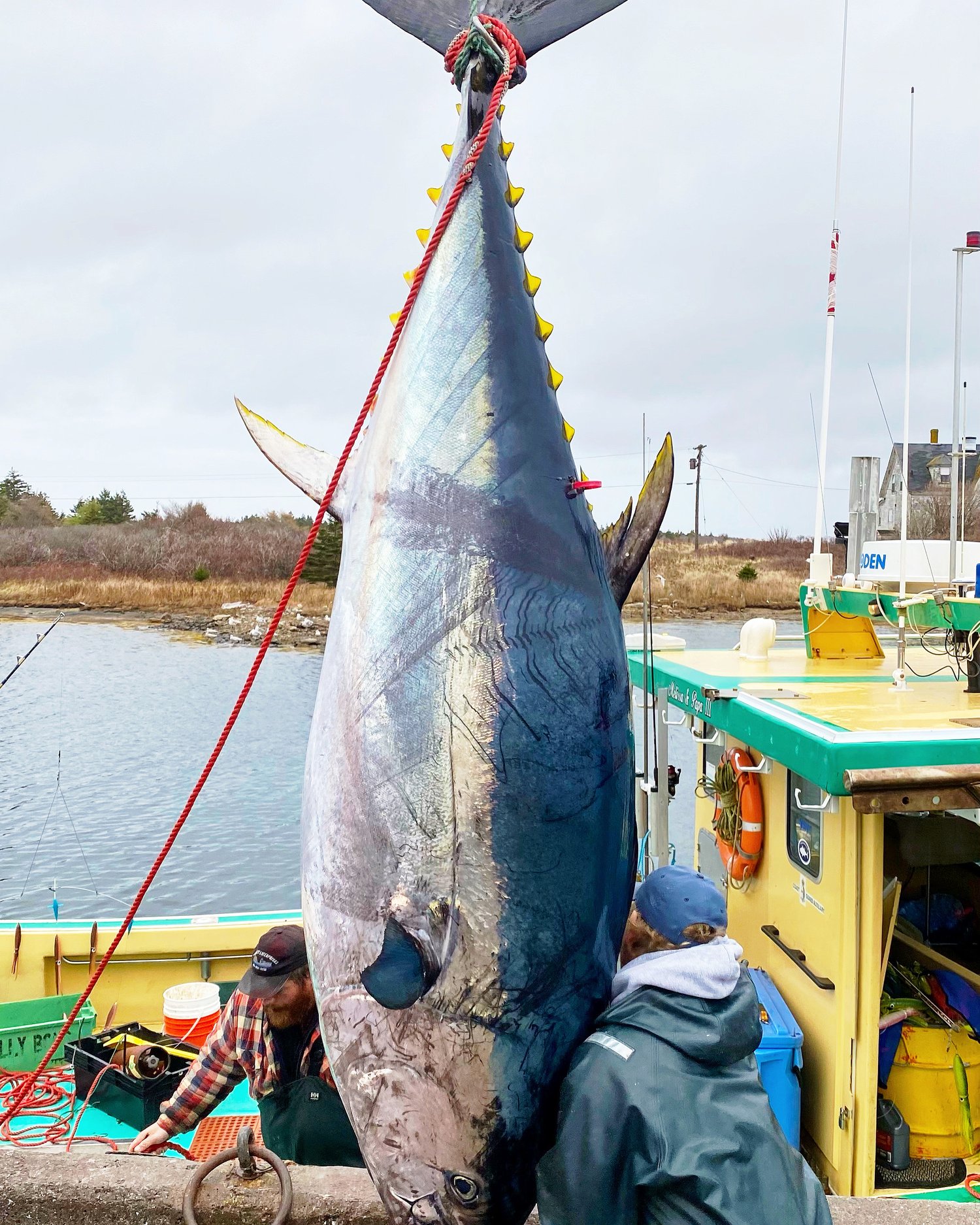 World Record Tuna Charters Bluefin Tuna Fishing Charters Nova Scotia Canada
