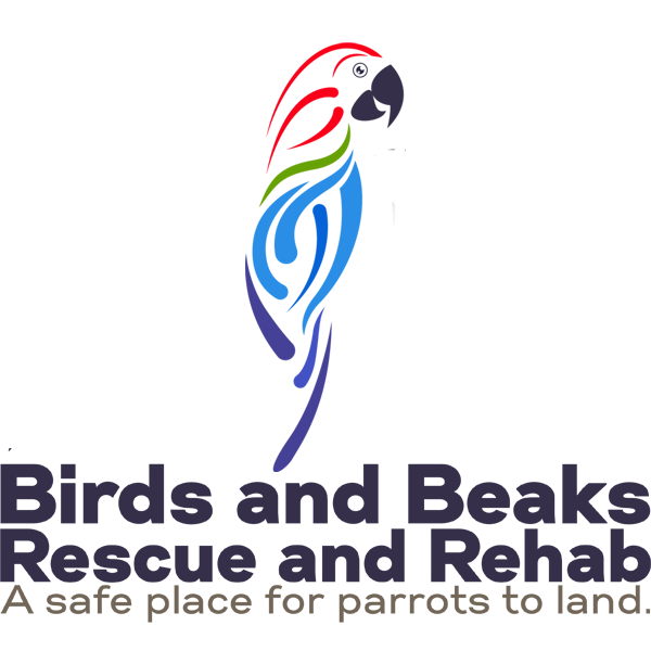 Birds and Beaks