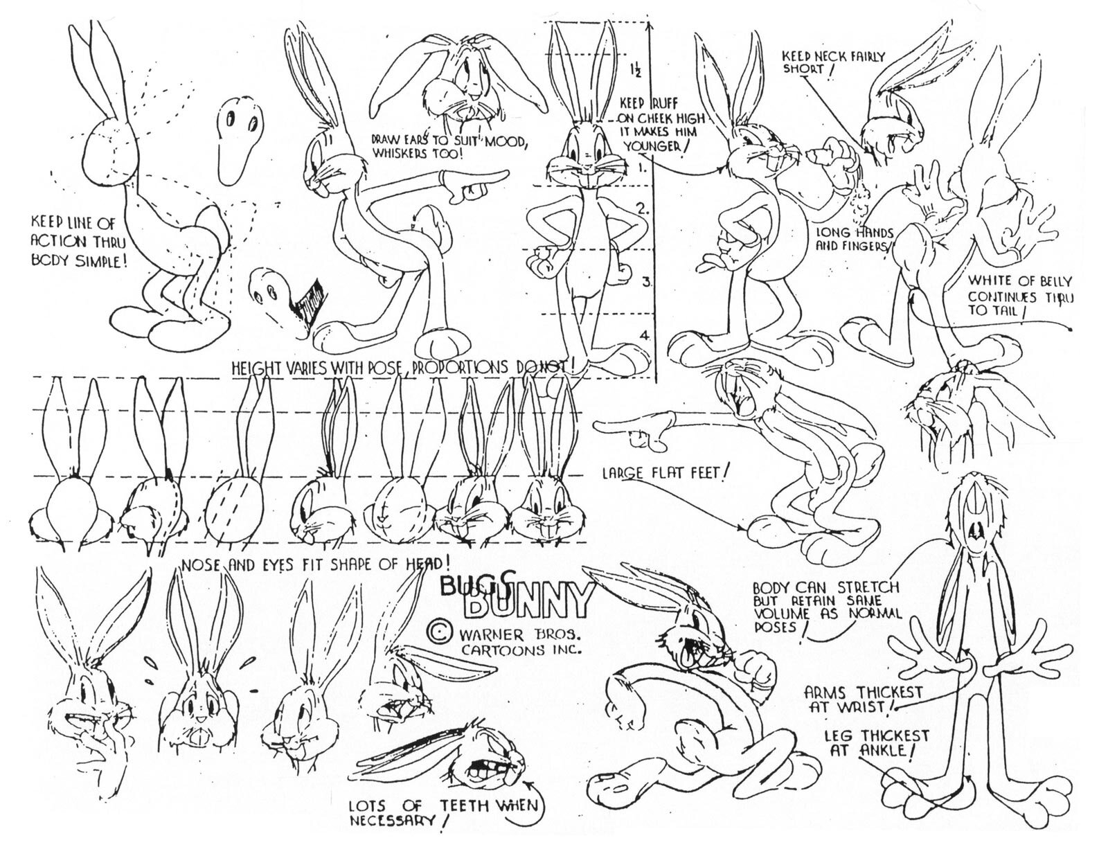 bugs bunny model sheet