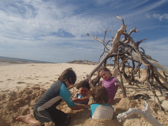 Holiday activities: Building a driftwood shelter