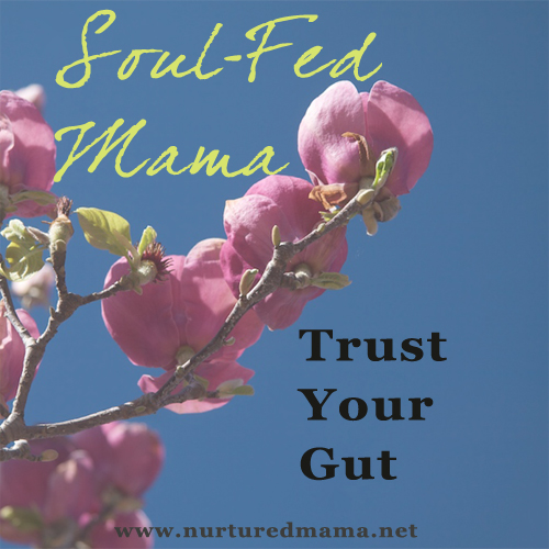 Trust Your Gut, part of the Soul-Fed Mama series on www.nurturedmama.net