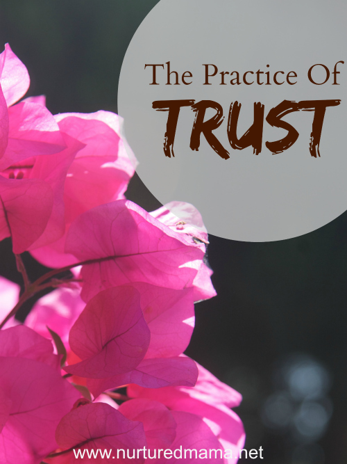 The Practice of Trust - when life feels uncertain, you need this. :: www.nuturedmama.net