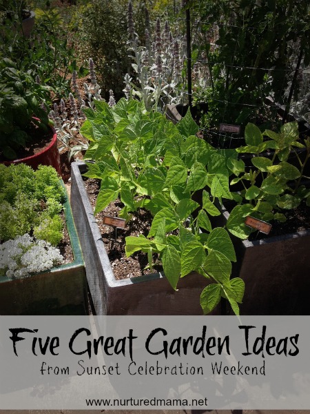 Five great gardening ideas from the Sunset Celebration Weekend :: nurturedmama.net