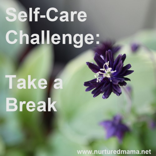 Self-Care Challenge: Take a Break | Nurtured Mama Blog