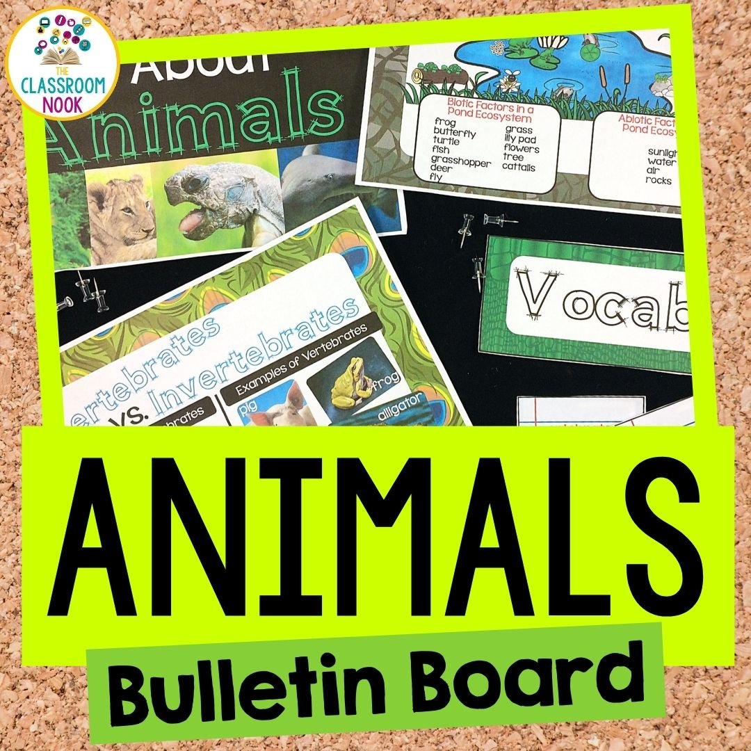 Animals & Ecosystems Bulletin Board: Classification, Life Cycles, Food  Chains, Ecosystems, Biomes & — THE CLASSROOM NOOK