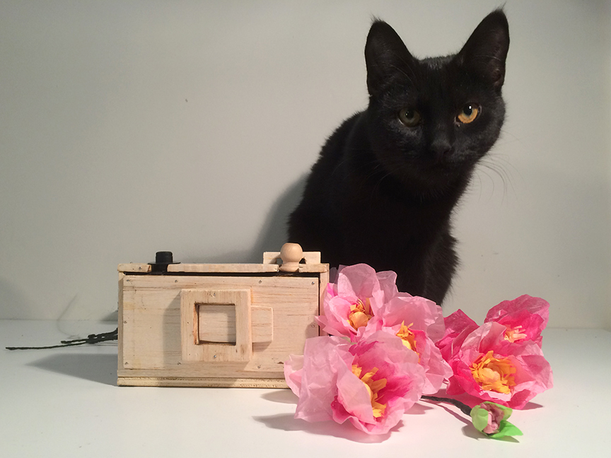 Influencer or blogger? Ella, a studio muse cat, is undecided. While she challenges you to the question, she'll sniff the paper flowers and wait for the definitive moment. Flowers and DIY pinhole camera by L.S. King.