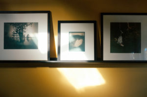 Gum prints by Diana Bloomfield hanging in her Raleigh studio.