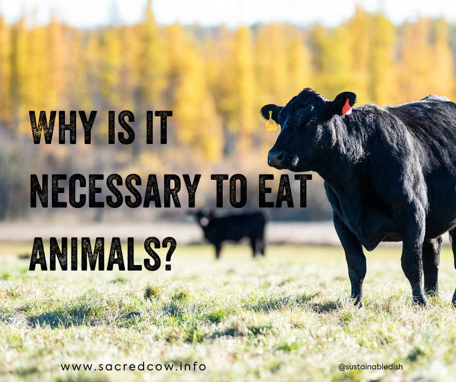 Why is it necessary to eat animals? — Sacred Cow