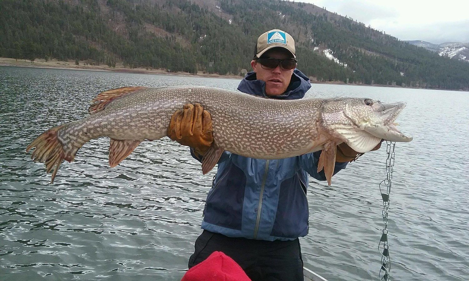 How to Fish for Northern Pike in Shallow Water. Best Tips