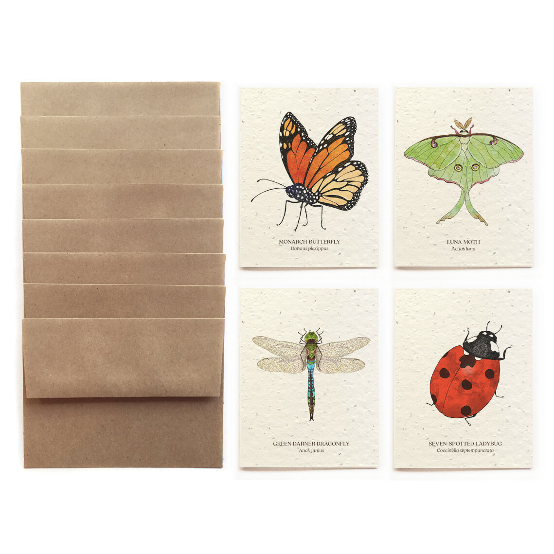 Flowers Butterflies Ladybirds Pier Paper Co 8 Pack - Crea8 Pink Eraser Set 