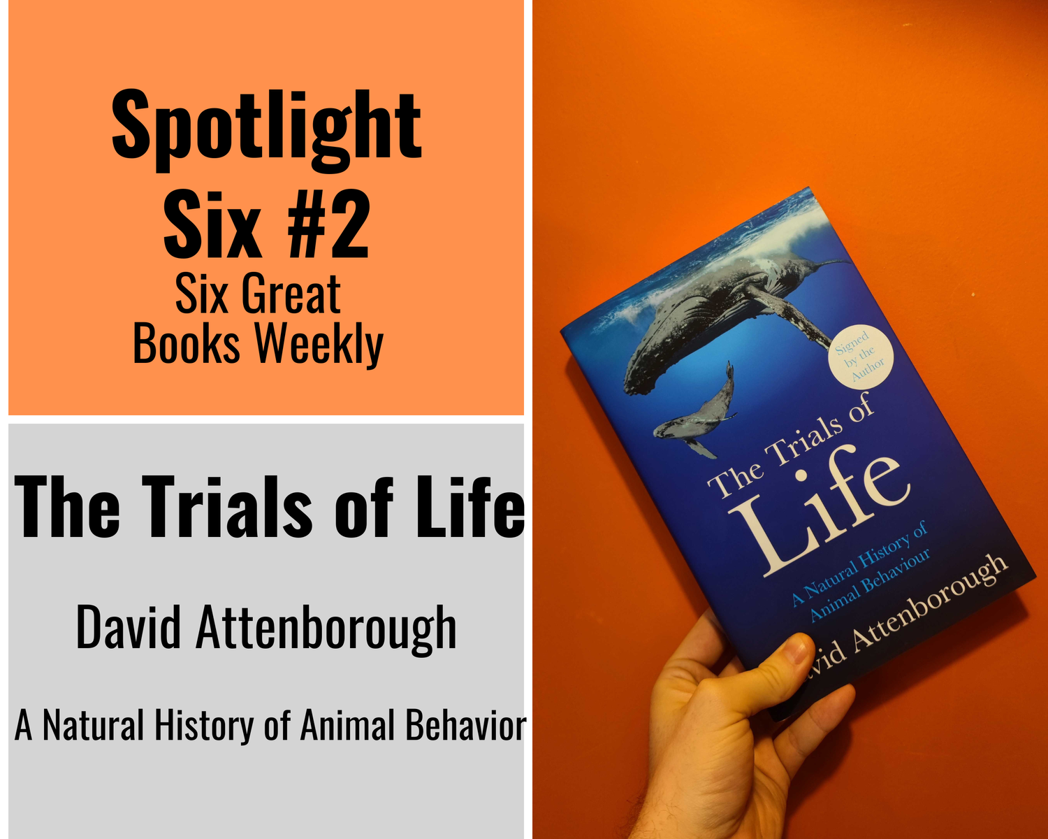 In store now! The Trials of Life: A Natural History of Animal Behavior by  David Attenborough — October Books