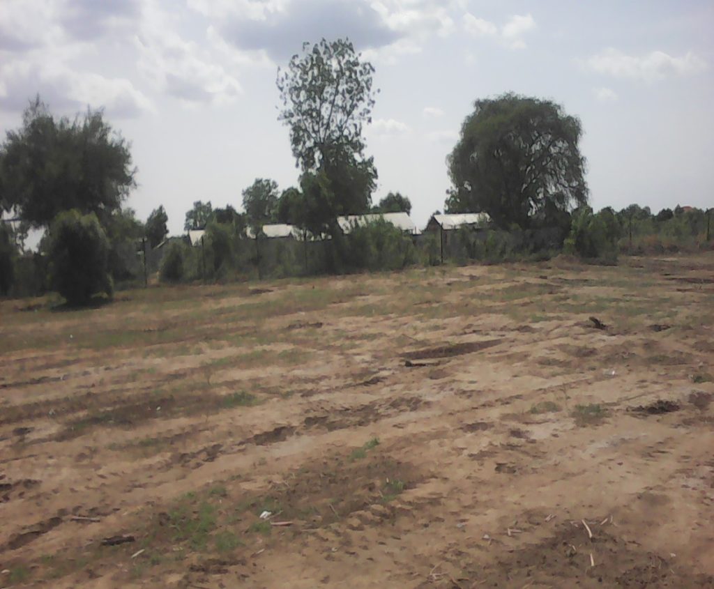 Future site of school in Bor, Jonglei State, South Sudan. Facing west.