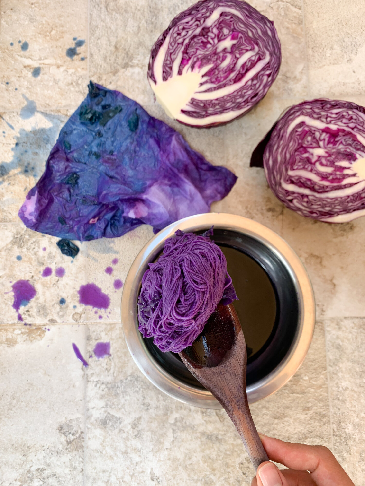 Cabbage Blue Food Dye Recipe