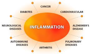 Inflammatory diagram