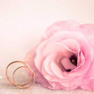 Rose_Wedding_rings_cover
