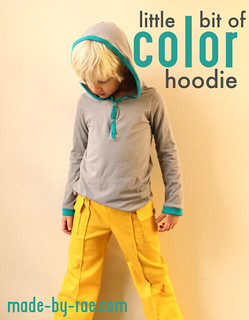 little bit of color hoodie