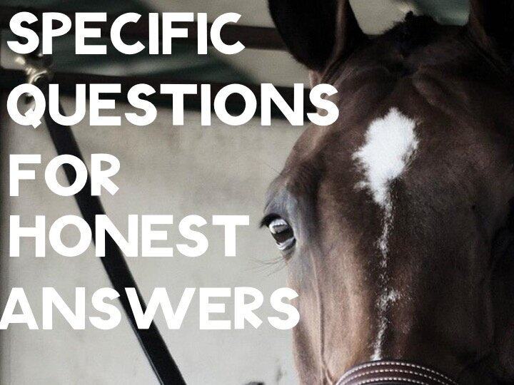 Specific Questions for Honest Answers When Horse Shopping — Adulting with  Horses