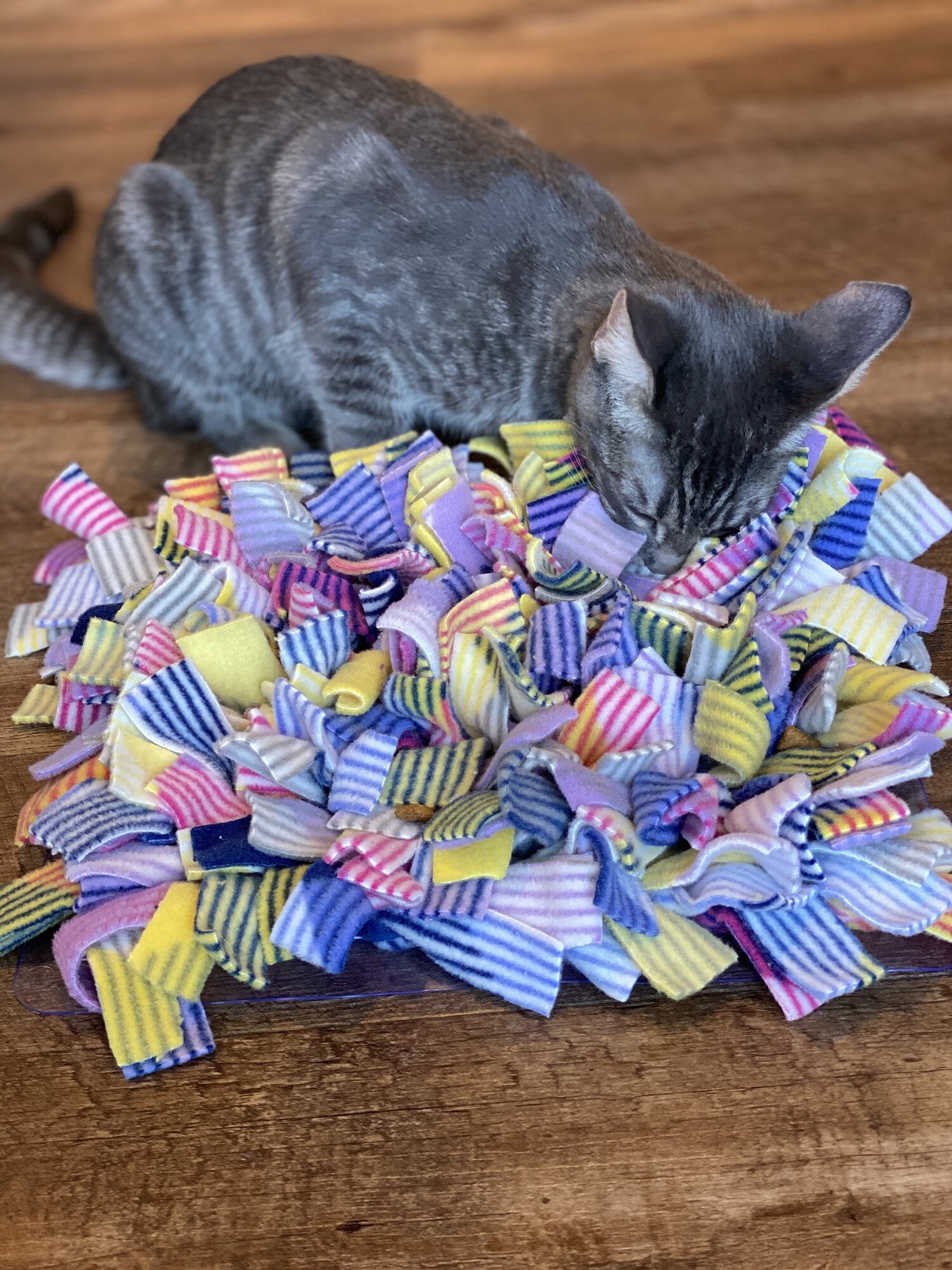 Make and Take a Snuffle Mat Event with Cats - (1 hr) — El Jefe Cat