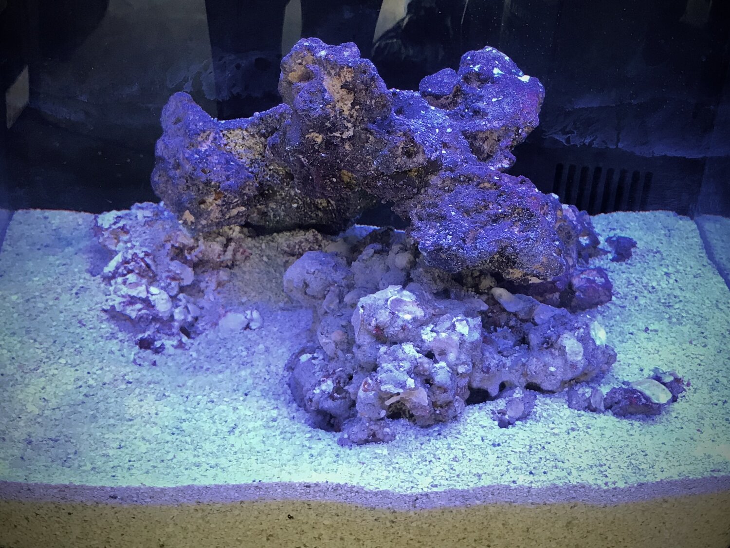 Cycling your tank! — Aquatic Collection