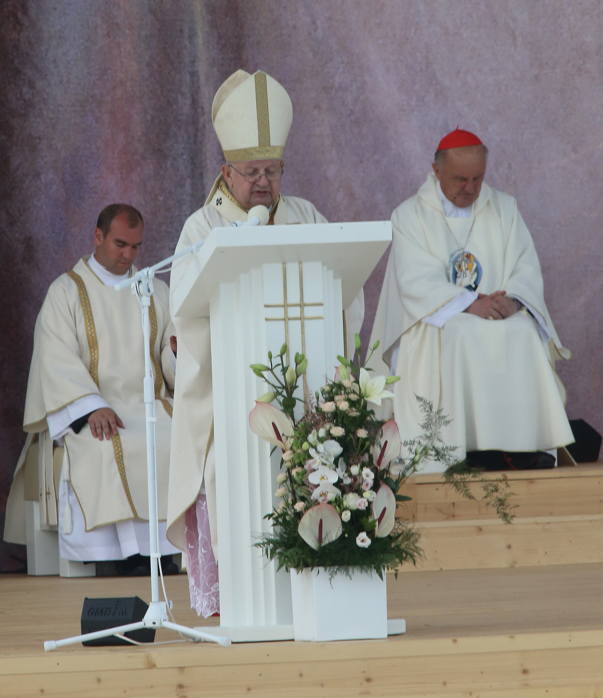 Cardinal Stanislaw Dziwisz of Krakow, Poland, celebrating the opening Mass for World Youth Day