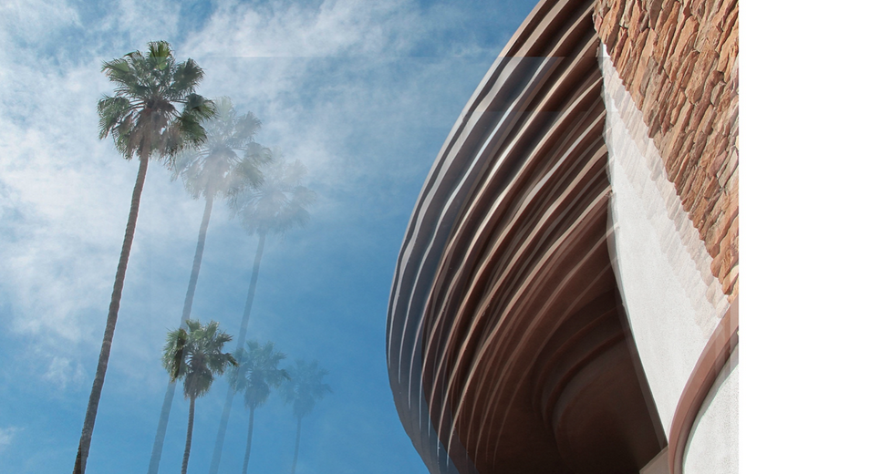 Louis Vuitton x Palm Springs — nina van volkinburg