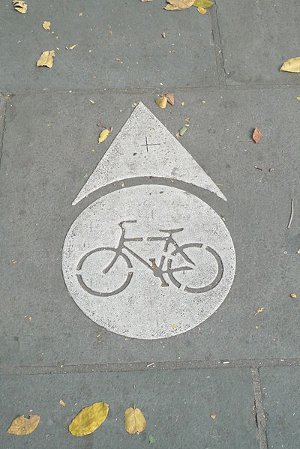 nyc_bike_lanes