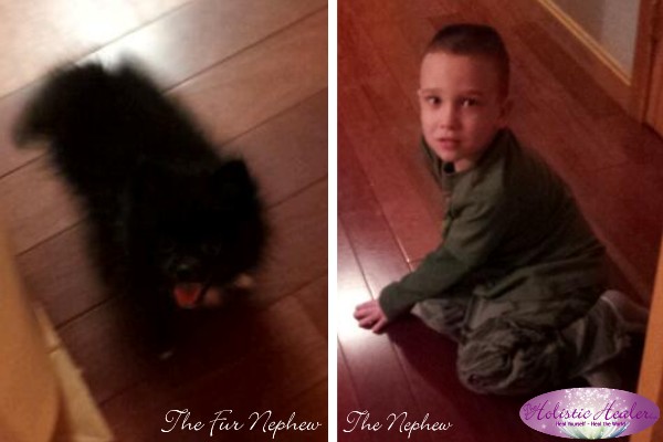 Fur Nephew and Nephew | Intuitive Ellen