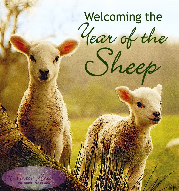 Welcoming the Year of the Sheep | Intuitive Ellen