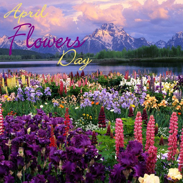 April Flowers Day