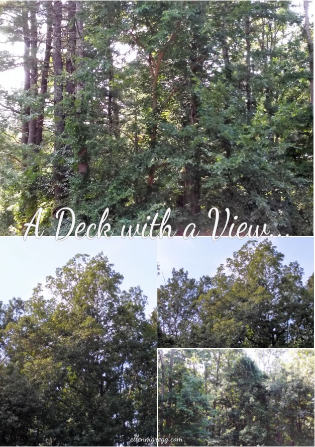 A Deck with a View: My view from the deck on 21 August, 2017. ~Intuitive Ellen