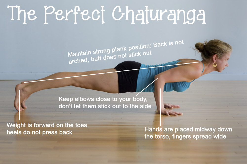 Picture from: http://blog.codyapp.com/codys-ultimate-guide-to-chaturanga/