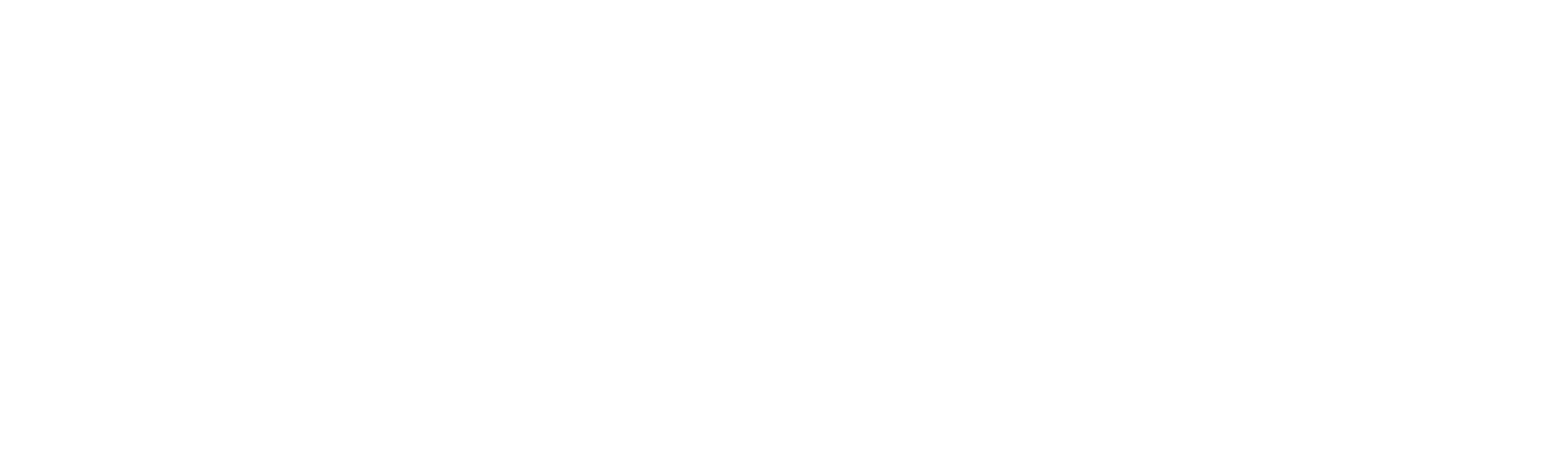 Van Buren Management Inc