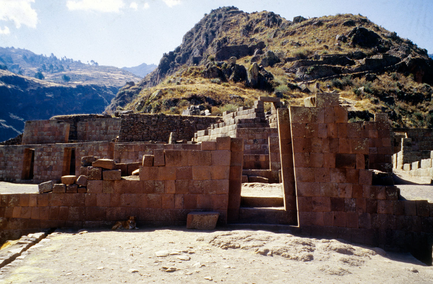 New Clues About Human Sacrifices at Ancient Peruvian Temple