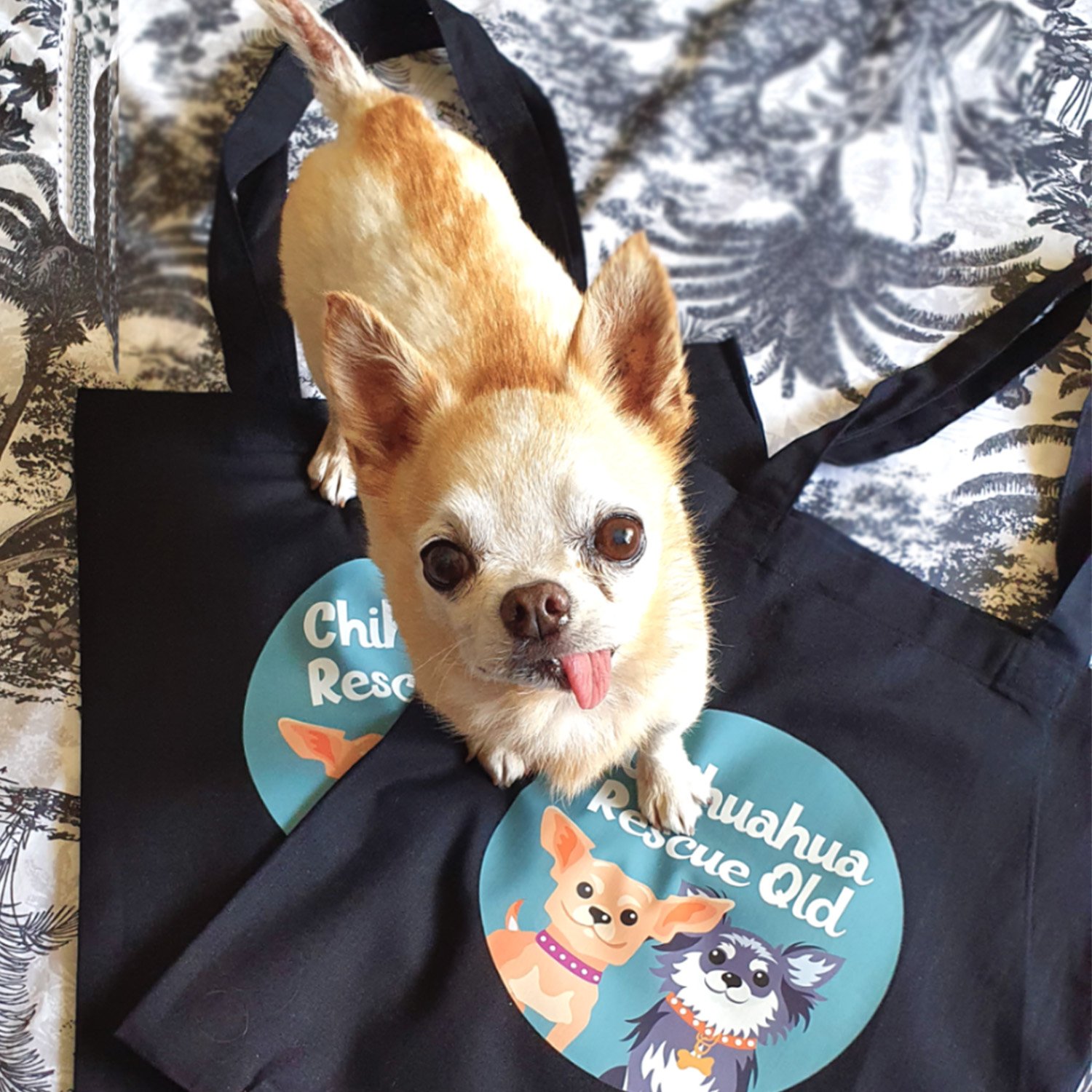 CRQ Tote   Black   ONLY 20 LEFT — Chihuahua Rescue Qld