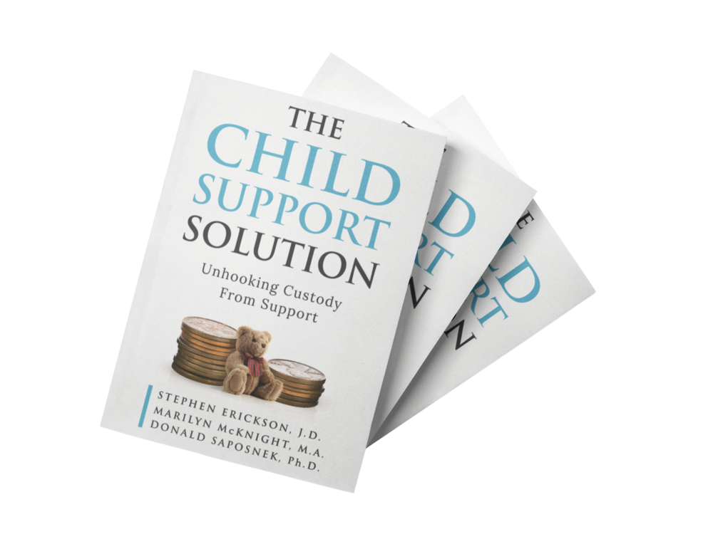 The Insiders' Guide to Child Support: How the System Works books pdf file