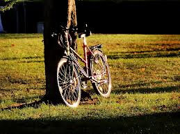 bike leaning on tree